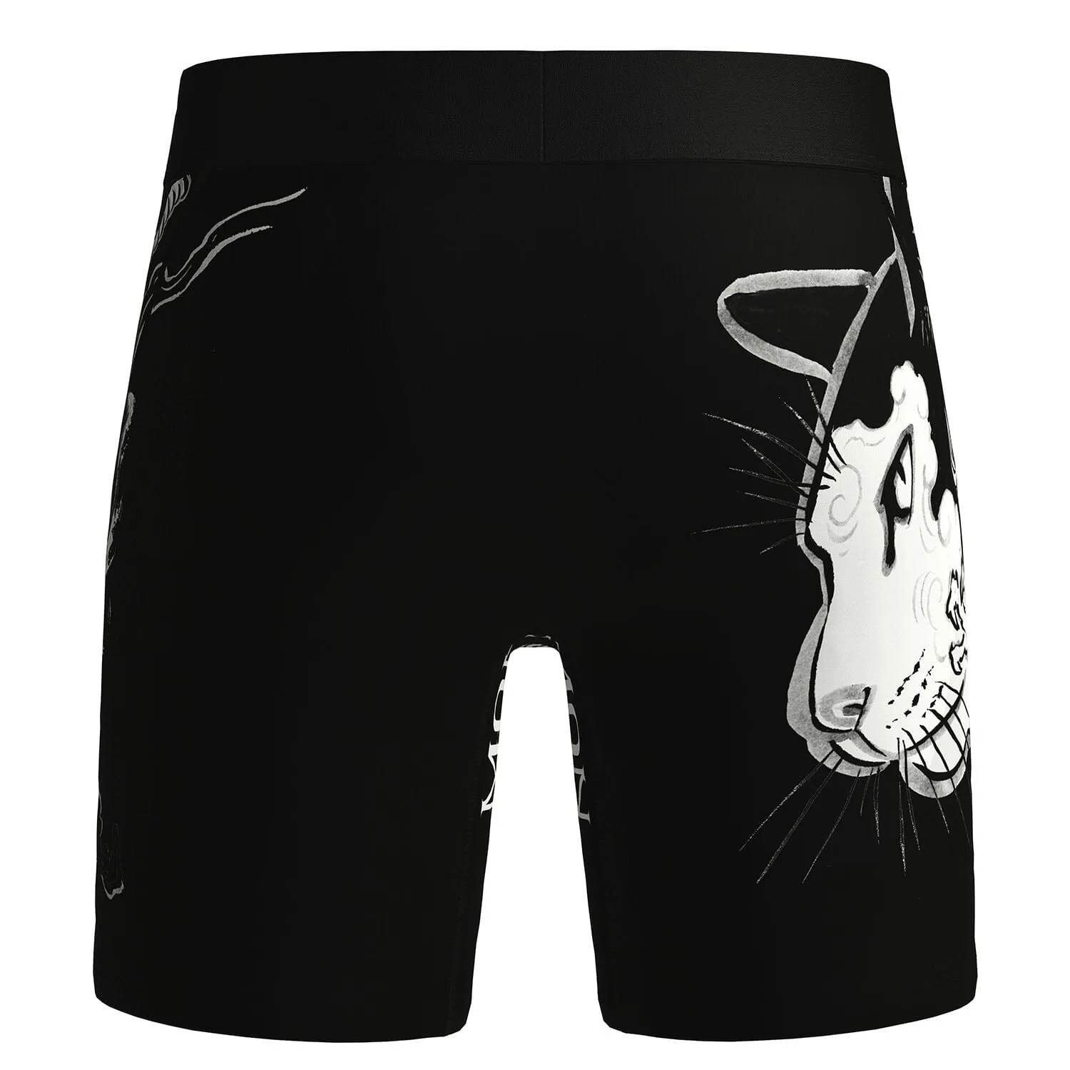 Dragon Cat Boxers