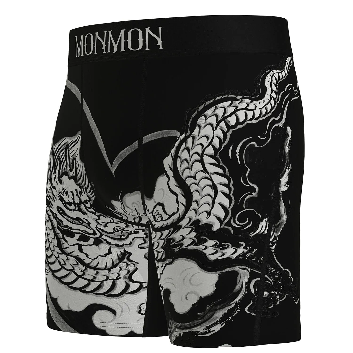 Dragon Cat Boxers