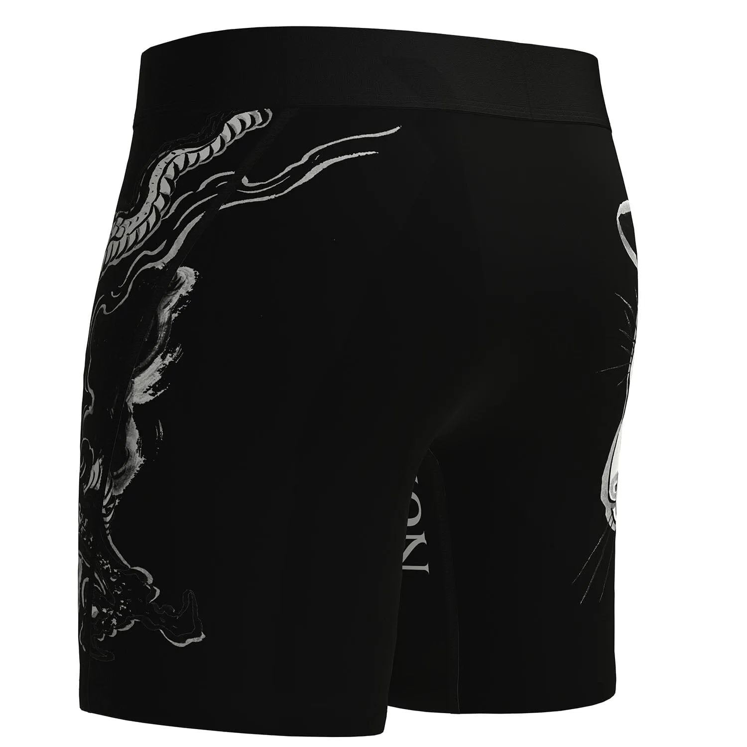 Dragon Cat Boxers